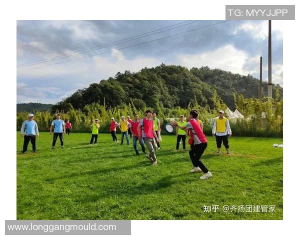 飞盘新手必看：提升场上意识的实用技巧与训练方法分享