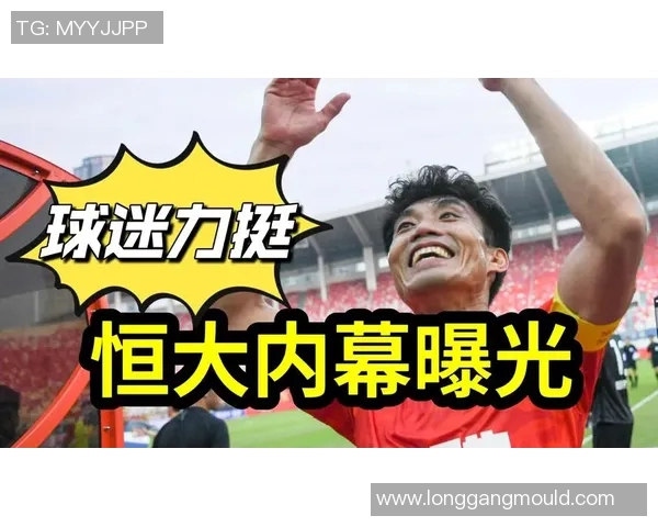 北京排球队状态变革引发热议球迷期待新辉煌