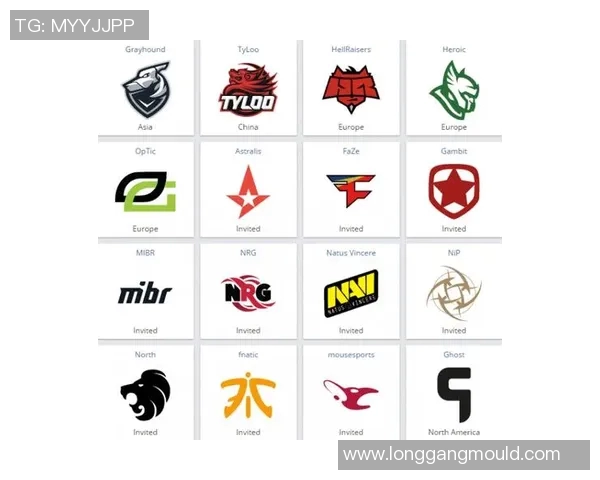 CSGO耐力排行榜更新WE战队创下历史新高引发热议