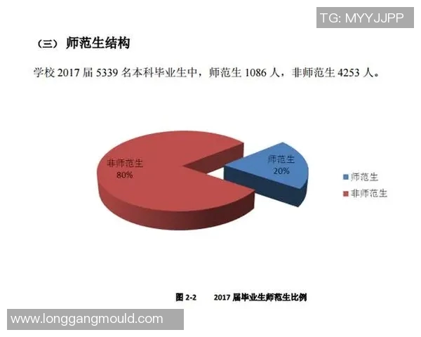 上海篮球队在欧锦赛中的团队协作表现分析与点评